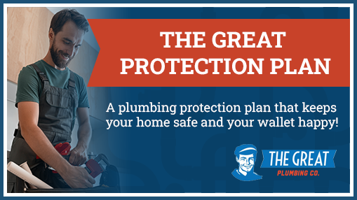 The Great Protection Plan